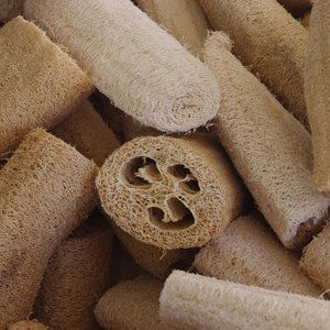 Organic Loofah - Great for Full Body Exfoliation!